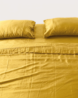 Gold Eucalyptus Bundle Set (7 pcs)